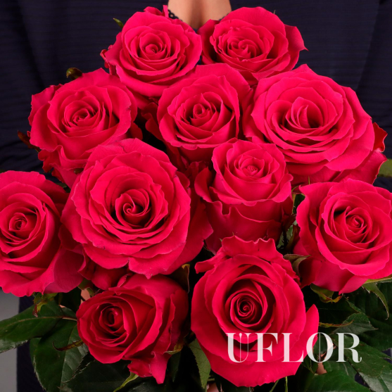 11 розовых Эквадорских роз 70см