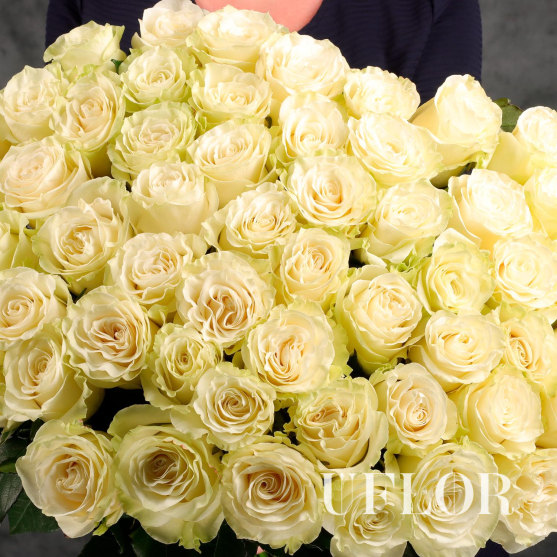 51 белая Эквадорская роза 90см