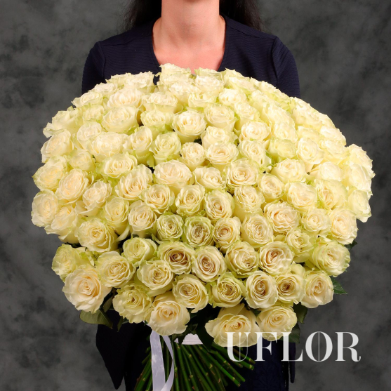 101 белая Эквадорская роза 90см