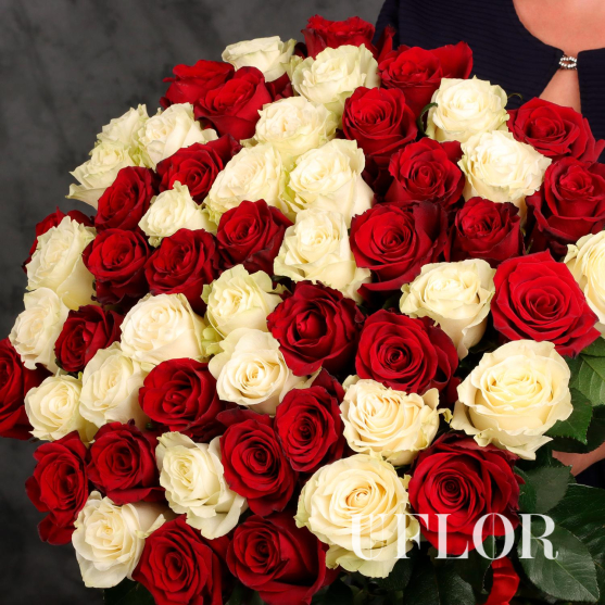 51 красная и белая Эквадорская роза 70см