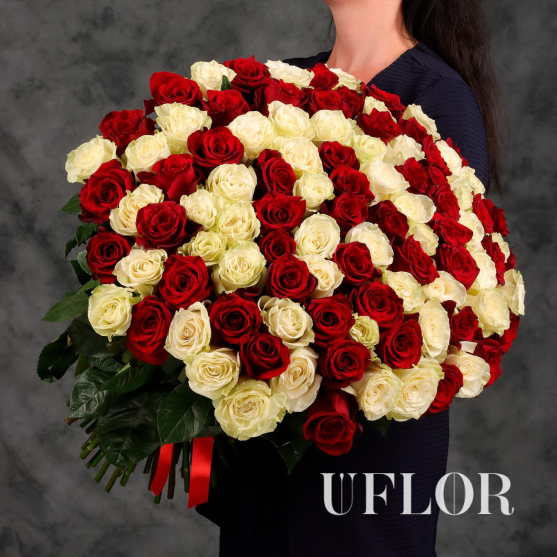 101 красная и белая Эквадорская роза 70см
