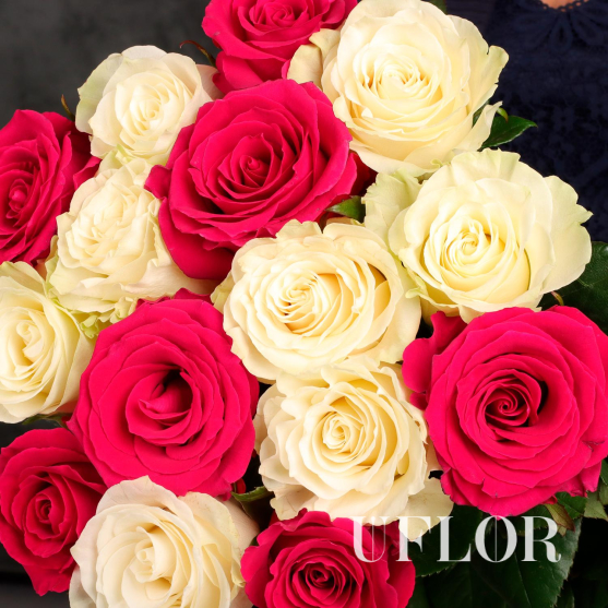 15 белых и розовых Эквадорских роз 70см